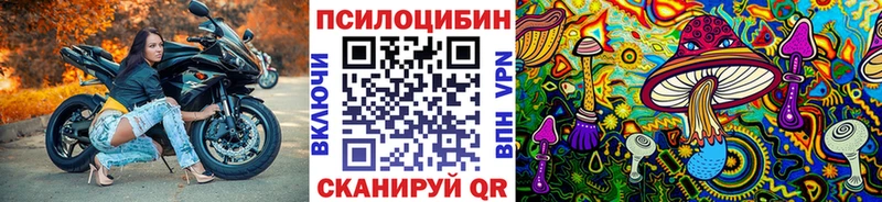 закладки Сосновый Бор Псилоцибиновые грибы Magic Shrooms